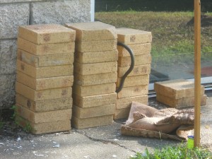 Joycelin Leahy Pictures 363