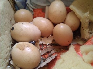 Photo_70915200-562A-A56C-5FB2-19BEAC05D51D