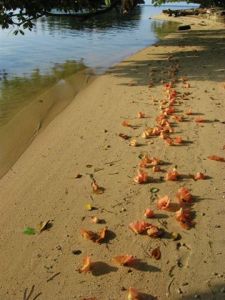 Tami Is Research photos 061