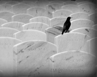 il_340x270.496120204_7iqk