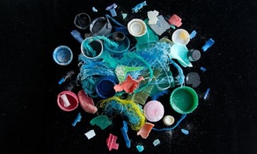 Tim-Pearn-On-the-Beach-012