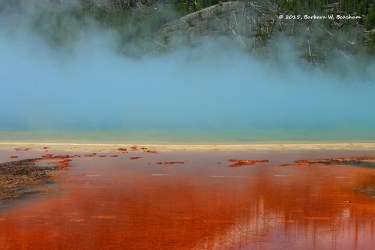 2015-04-06-bw-beacham1
