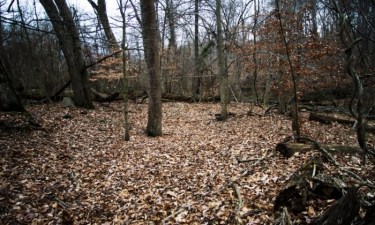 967ee5c3-0bcc-4c58-8b73-24badb3442d0-1020x612