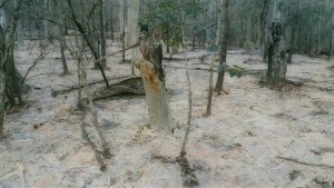 Article Lead - wide996235664gh4s84image.related.articleLeadwide.729x410.gh4scw.png1432004258077.jpg-620x349