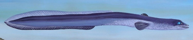 cropped-flying-eel-long