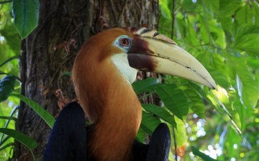 4581085444_98b5019d3b_b