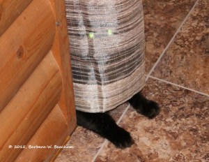 2015-07-27-bw-beacham