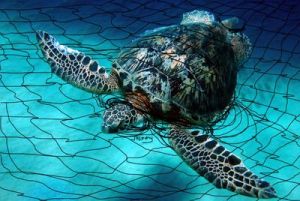 6a00d83454f2ec69e201b8d131573c970c-400wi