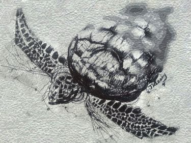 PaperArtist_2015-06-28_15-18-25