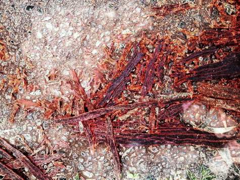 PaperArtist_2015-12-13_21-24-42