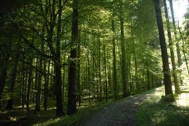 For tribalmysticstories: A Tribal Mystic Story; Poem For My Father